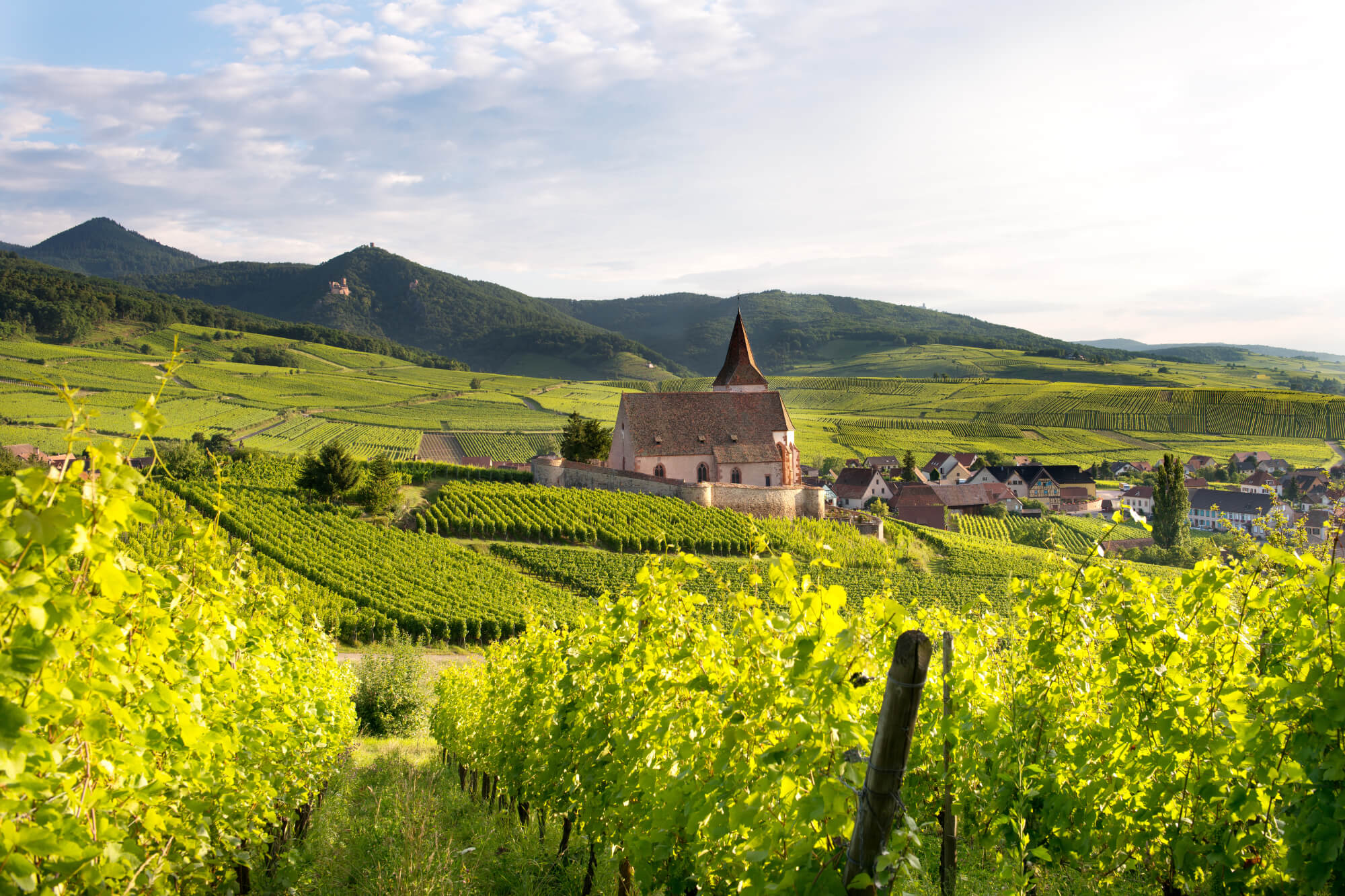 Vignoble Alsace, Eglise d'Hunawihr