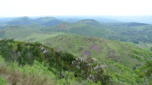 Quels sont les vins d'Auvergne ?