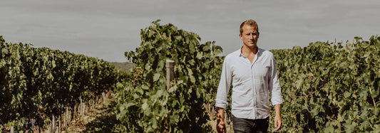 Domaine La Bouche du Roi