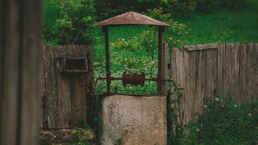 Le vin était plus sûr que l'eau ?