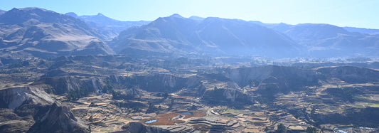 La viticulture au Pérou