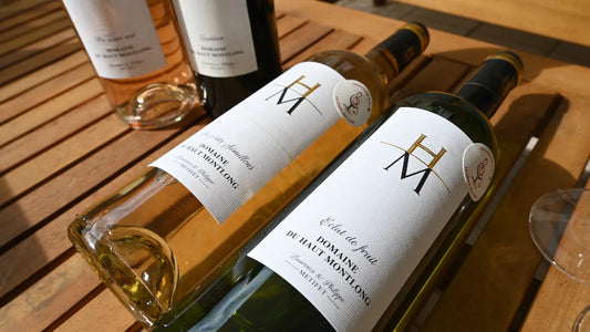 Décrypter une étiquette de vin : mode d’emploi