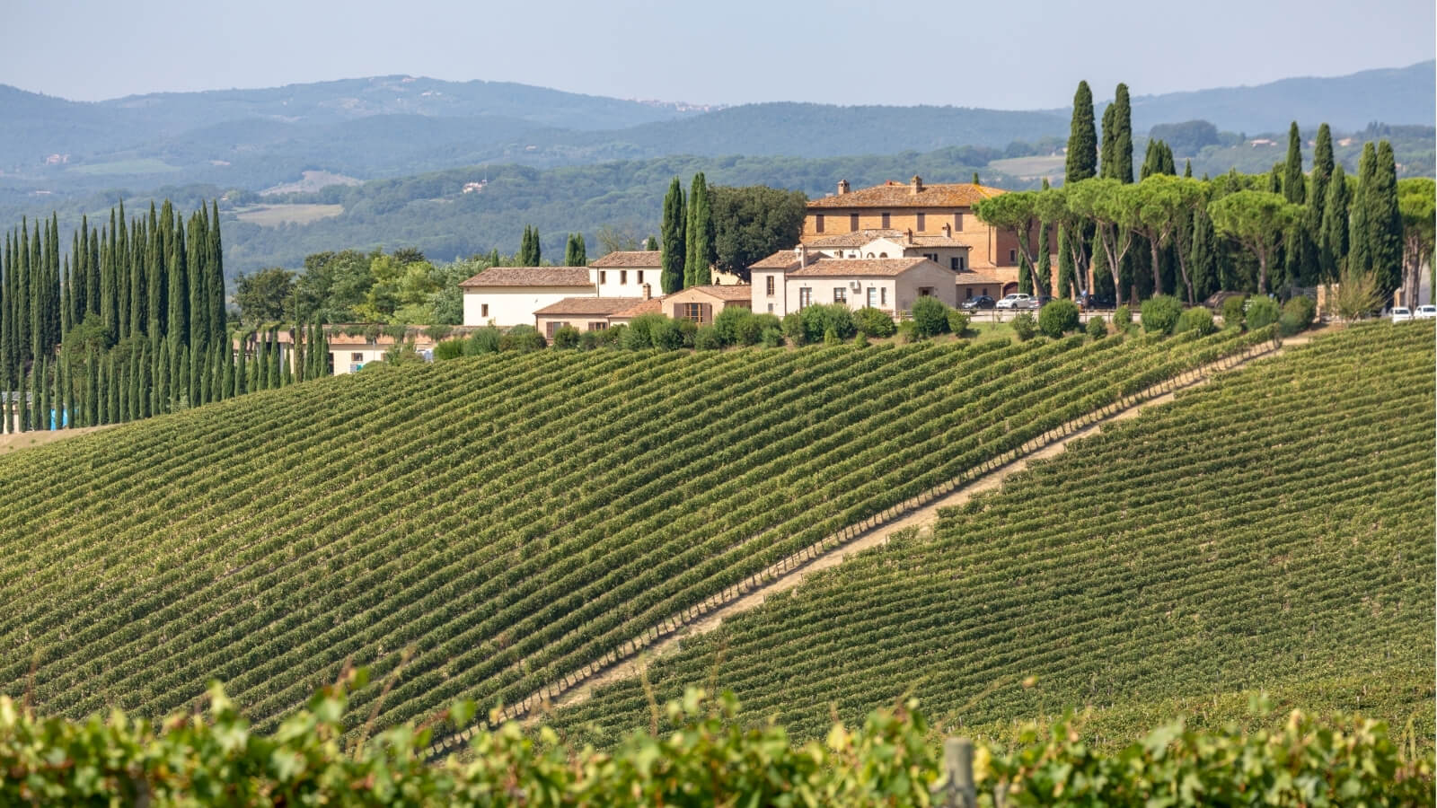 Vignoble de Toscagne, Italie