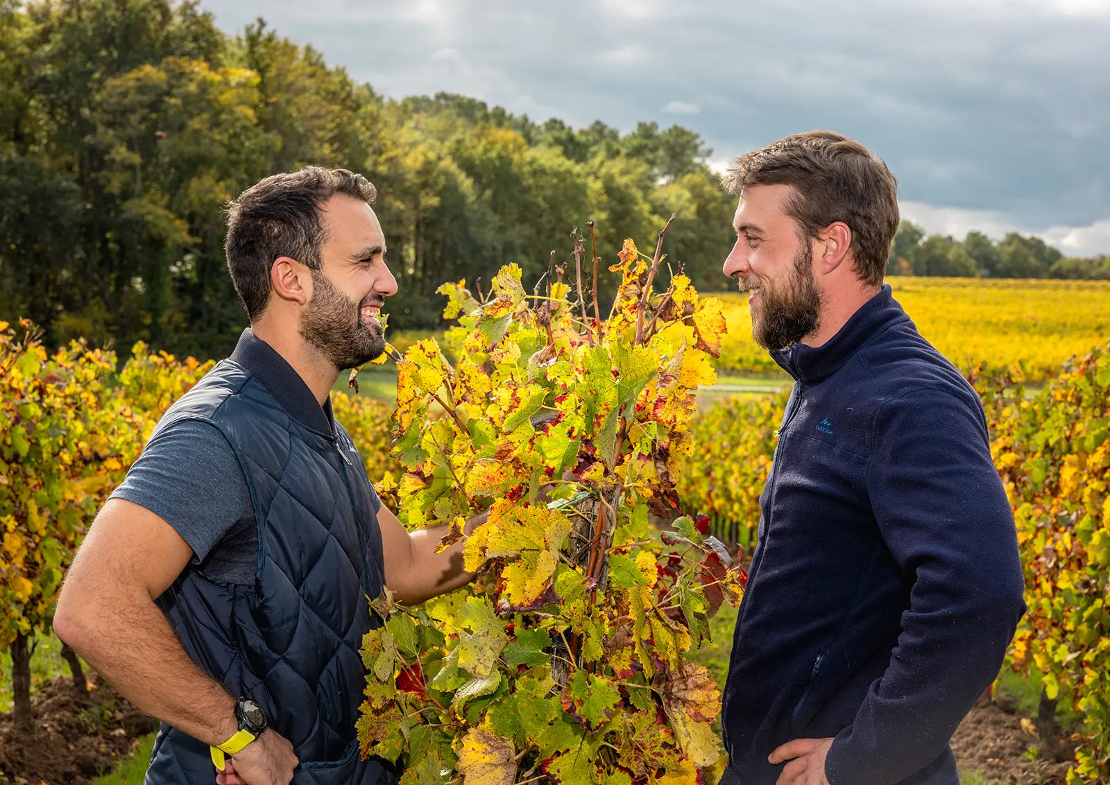 Portrait de Rémi et Gregoire, vignerons au domaine Haut-Ventenac