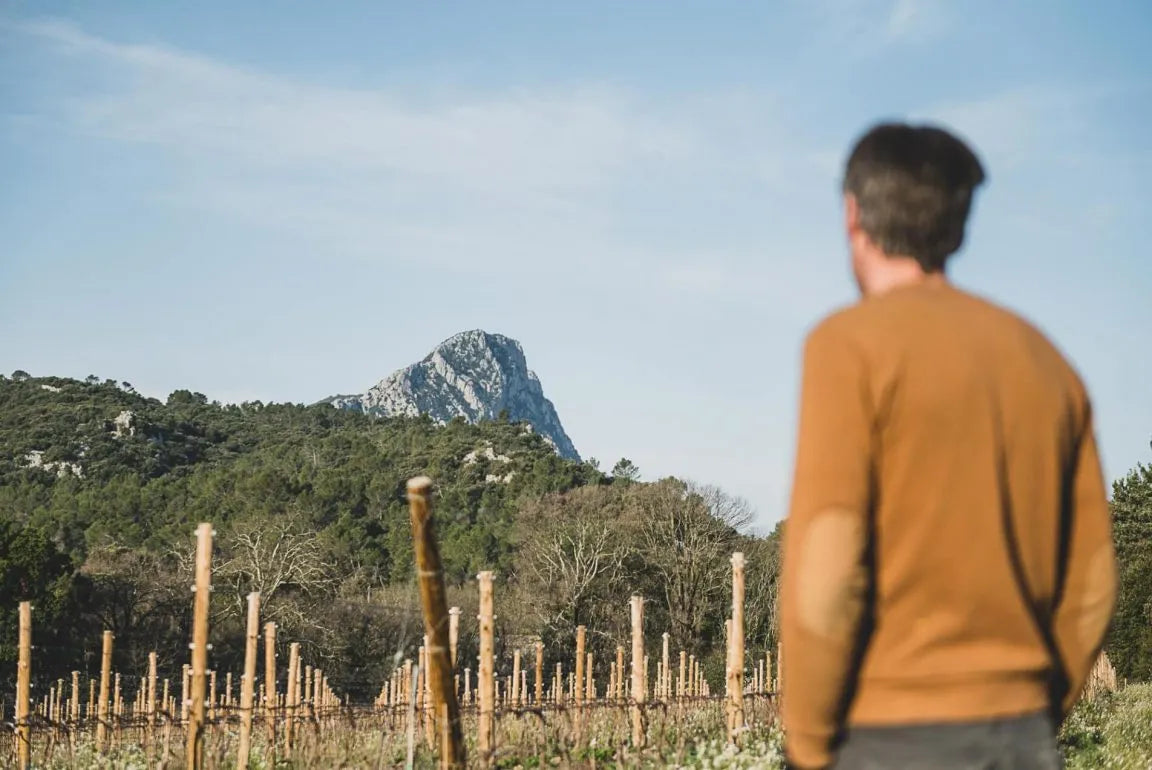 Domaine de L’Hortus, Vignoble d’exception de l’appellation Pic-Saint-Loup
