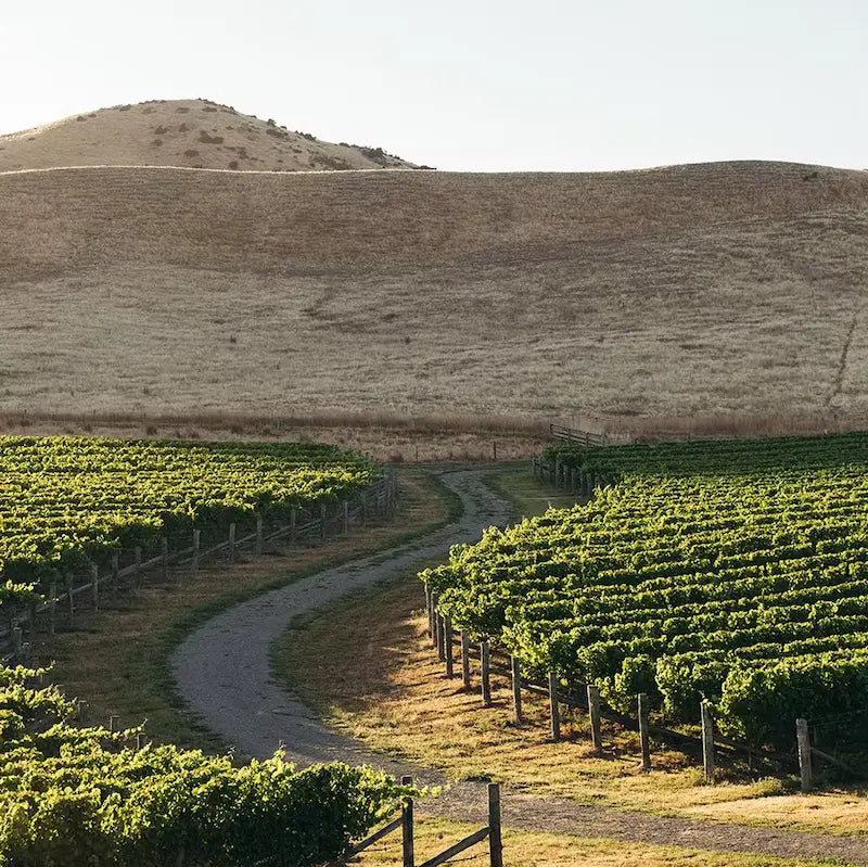 Domaine Cloudy Bay, Nouvelle-Zélande