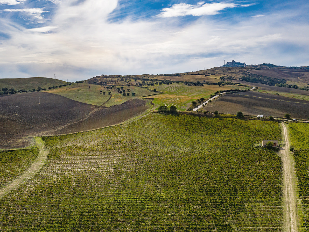 Vigneti del Vulture, Basilicate