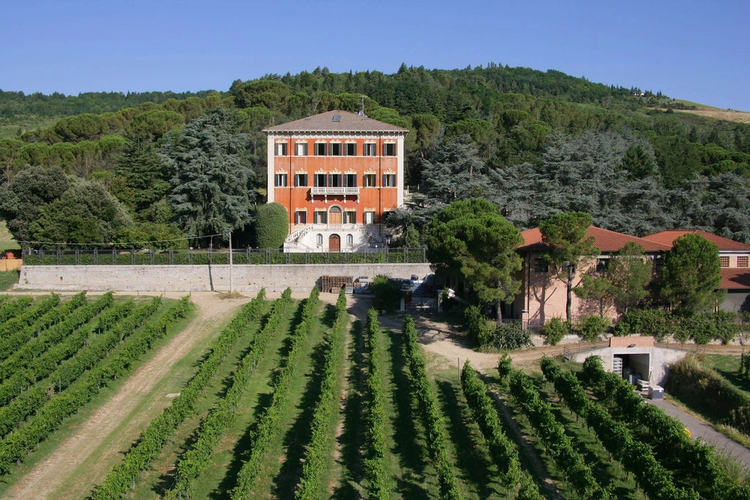 Vignoble Pandolfa, Emilie-Romagna, Italie