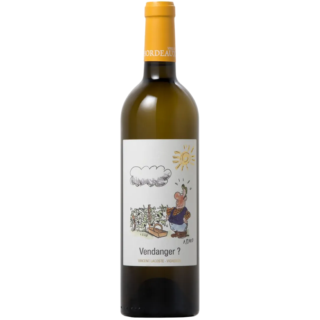 Vincent Lacoste, Vendanger, Vin blanc de Bordeaux